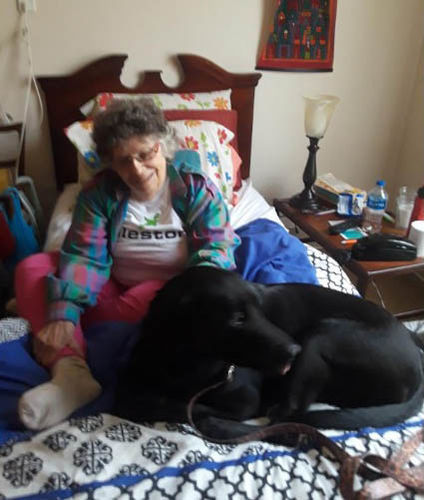 Customer photo review of WALK-EASY® Joint and Hip Pain Relief for Dogs and Cats