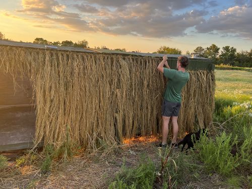 Customer photo review of Hunting Blind Raffia Grass (Pack)