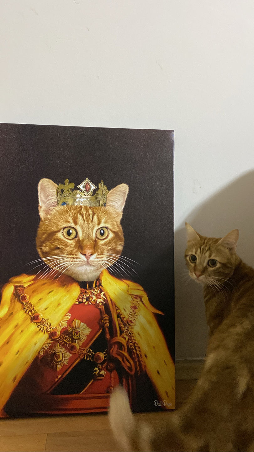 Customer photo review of The King of the Seven Kingdoms