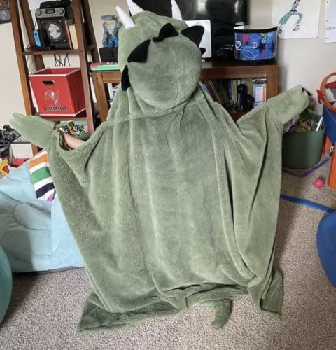 Customer photo review of The Dino Blanket