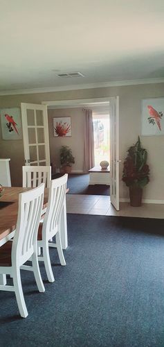 Customer photo review of Protea Growing Toward the Sun, Art Duo