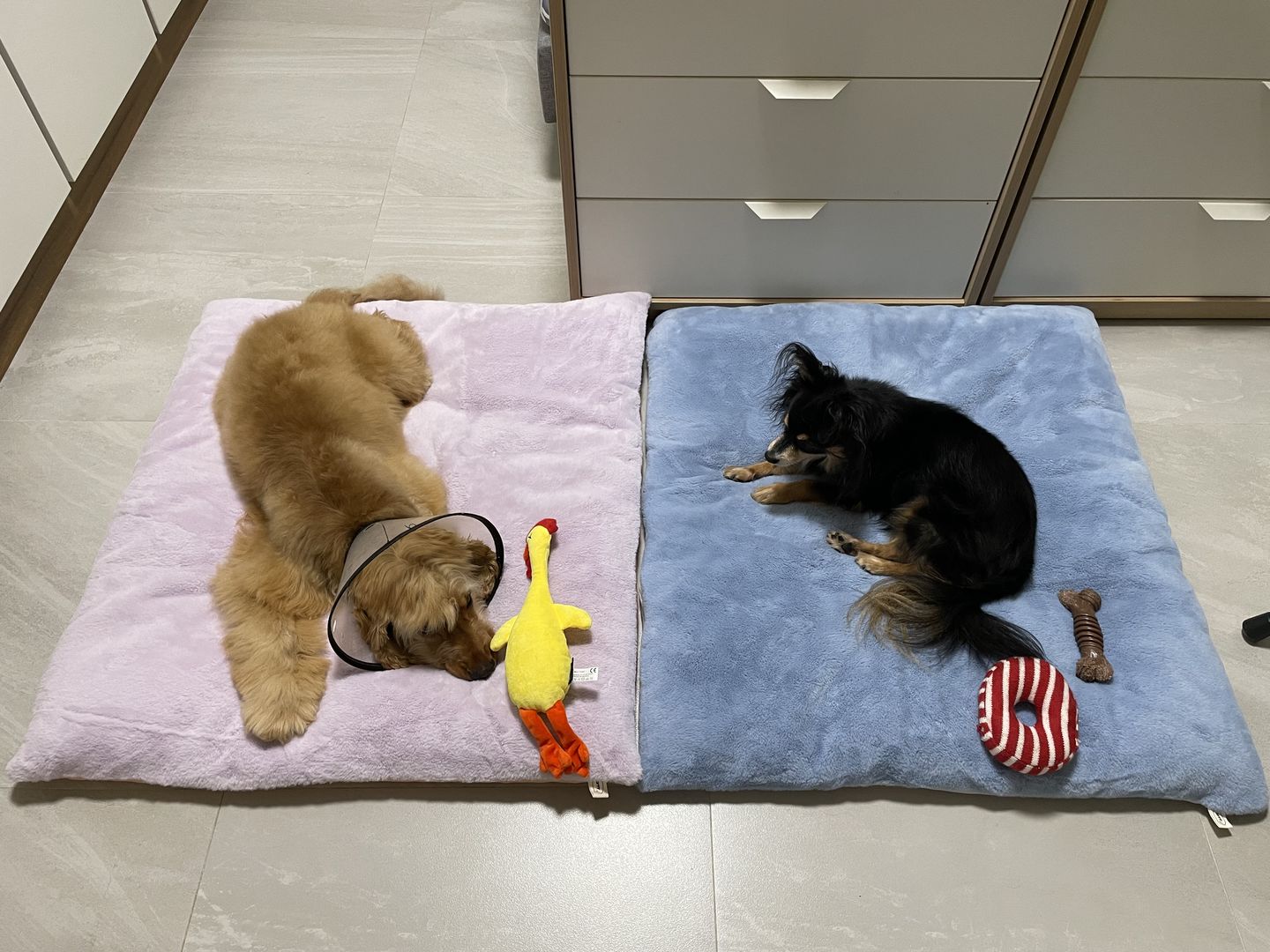 Customer photo review of Sleeping Blanket