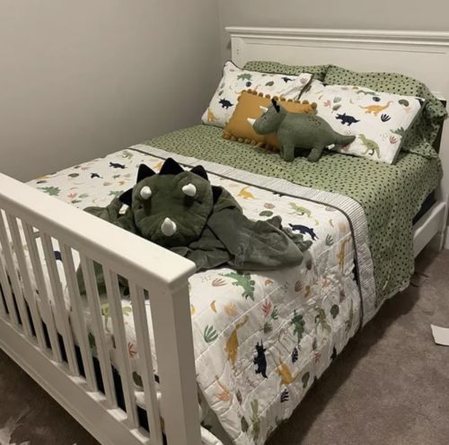 Customer photo review of The Dino Blanket