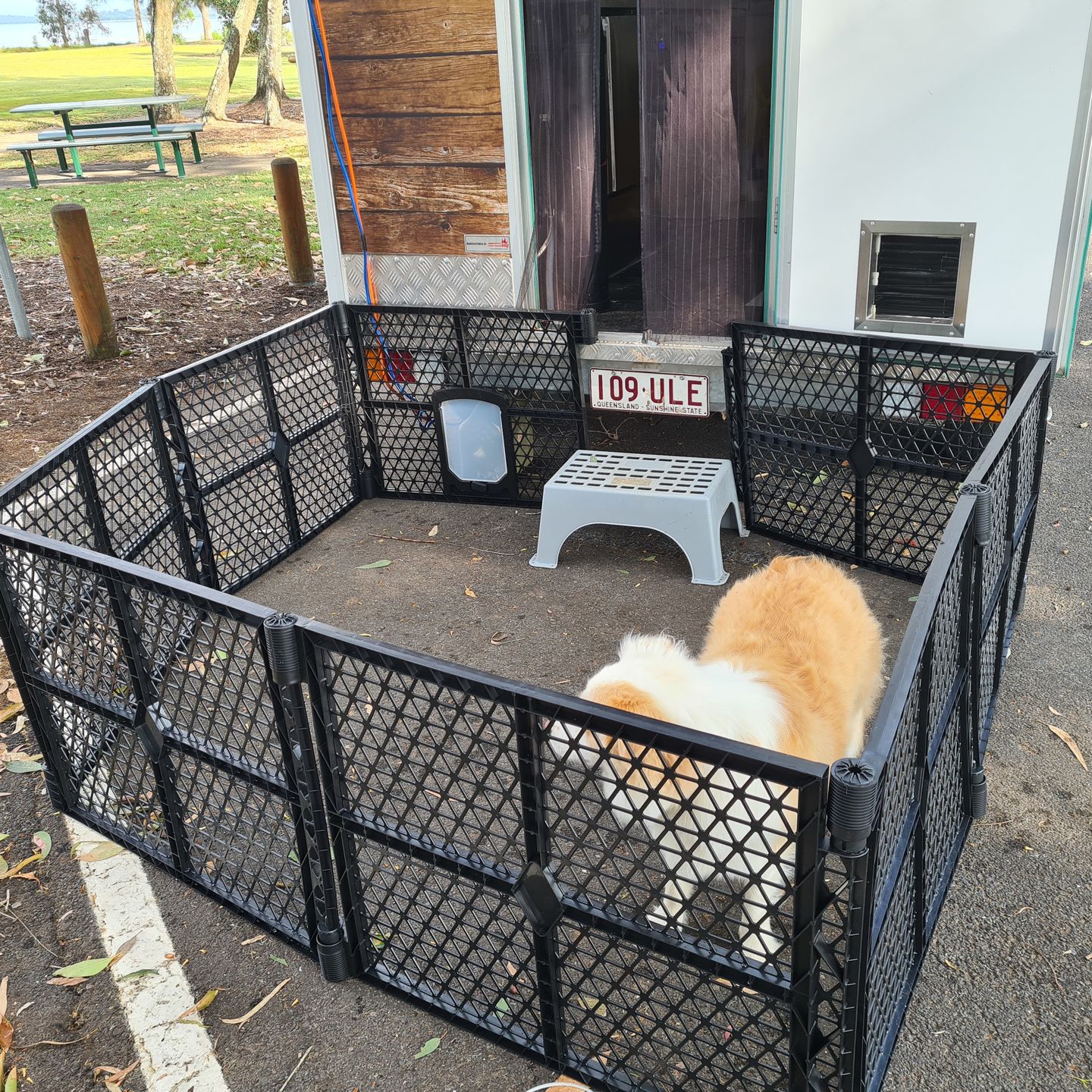Customer photo review of PaWz Pet Foldable Portable Playpen Garden Outdoor