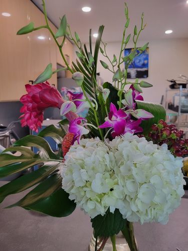 Customer photo review of Wild Orchid