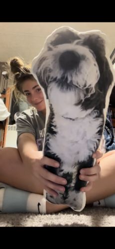 Customer photo review of Create A Custom Dog Pillow