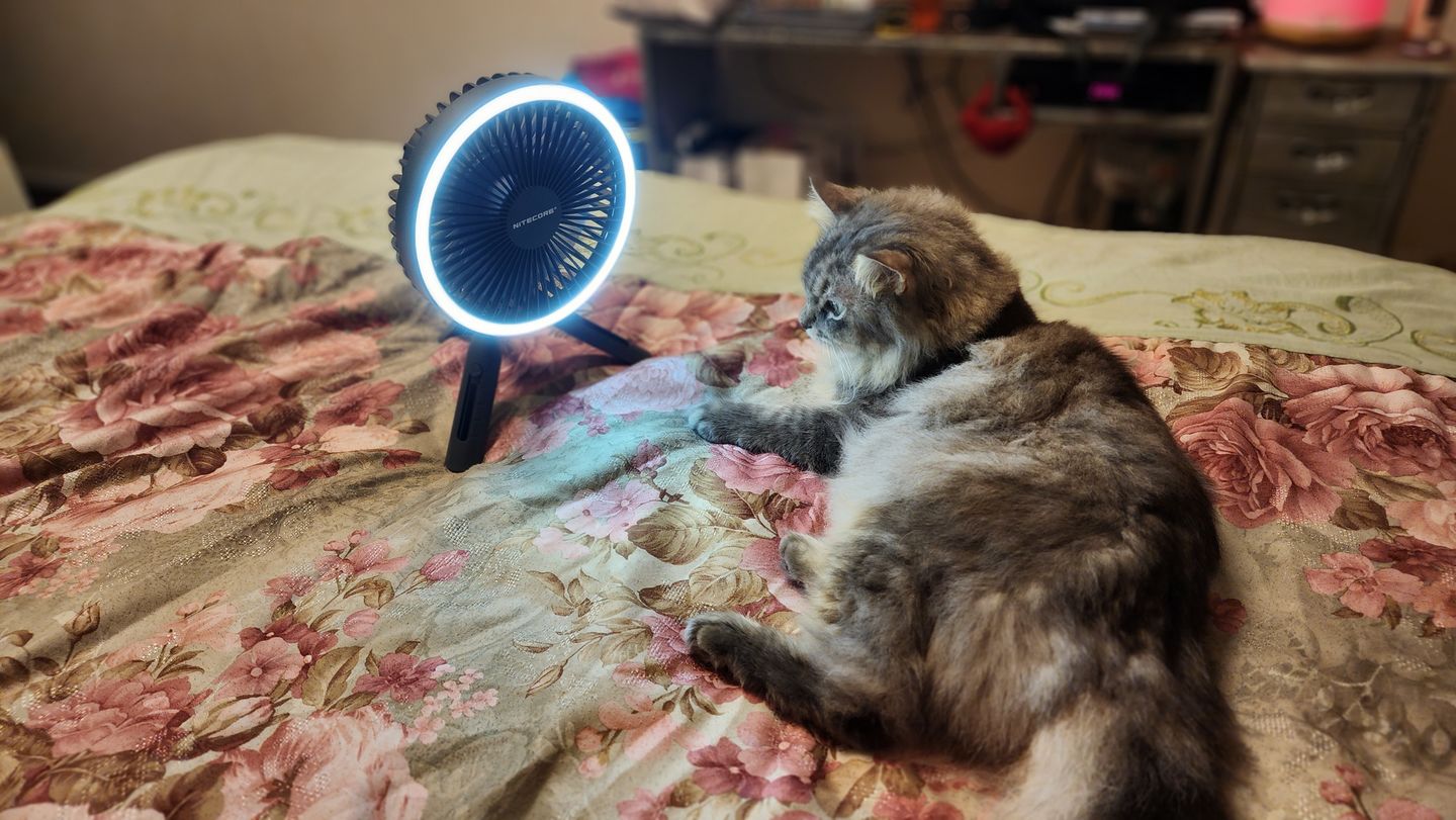 Customer photo review of NEF10 - LED Fan (10,000mAh)