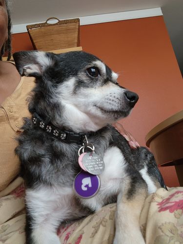 Customer photo review of Purple