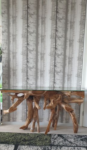 Customer photo review of Teak Wurzelholz Konsole NAGA Breite 140cm mit Glasplatte - Unikat