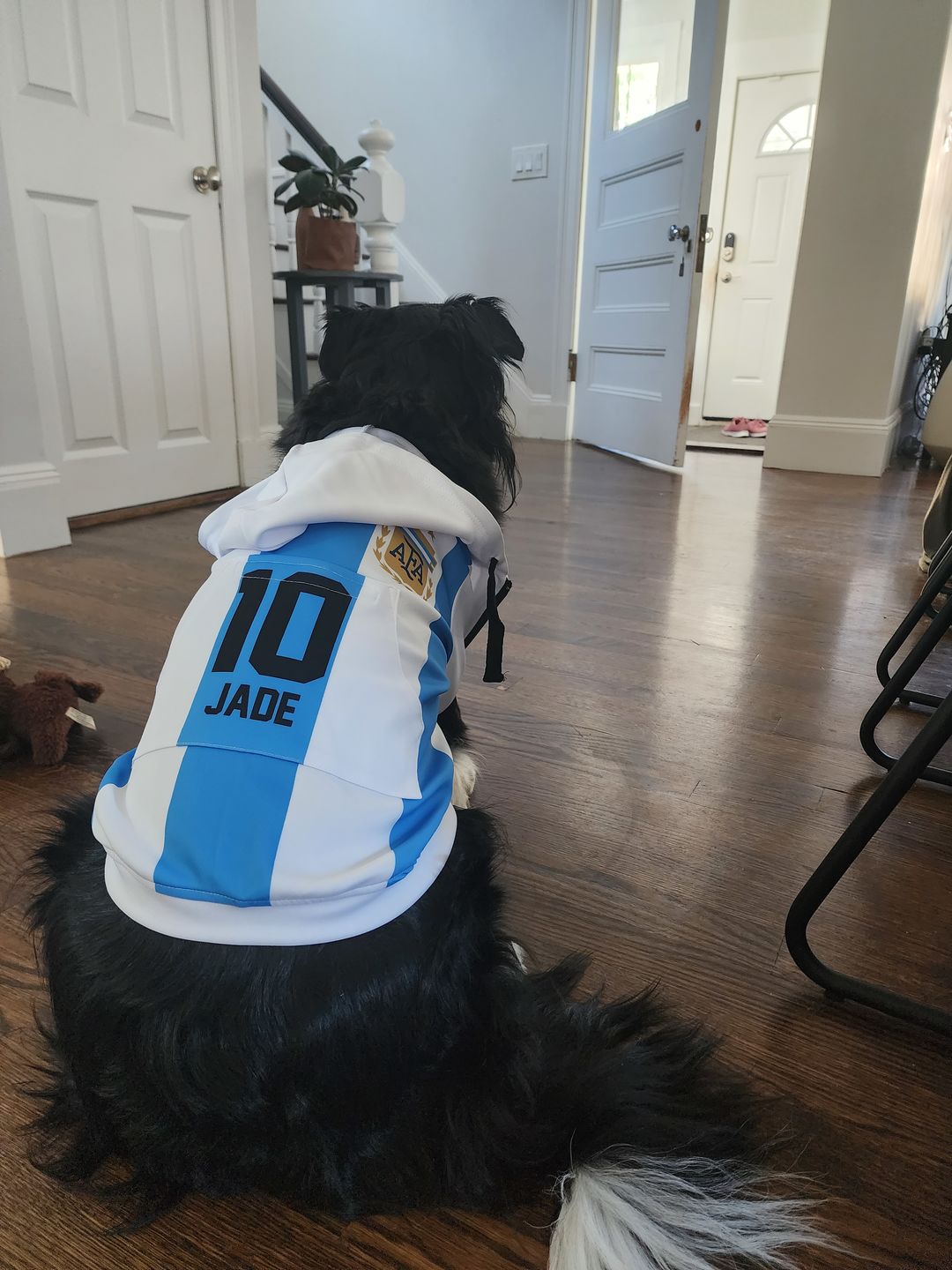 Customer photo review of Argentina Dog Hoodie