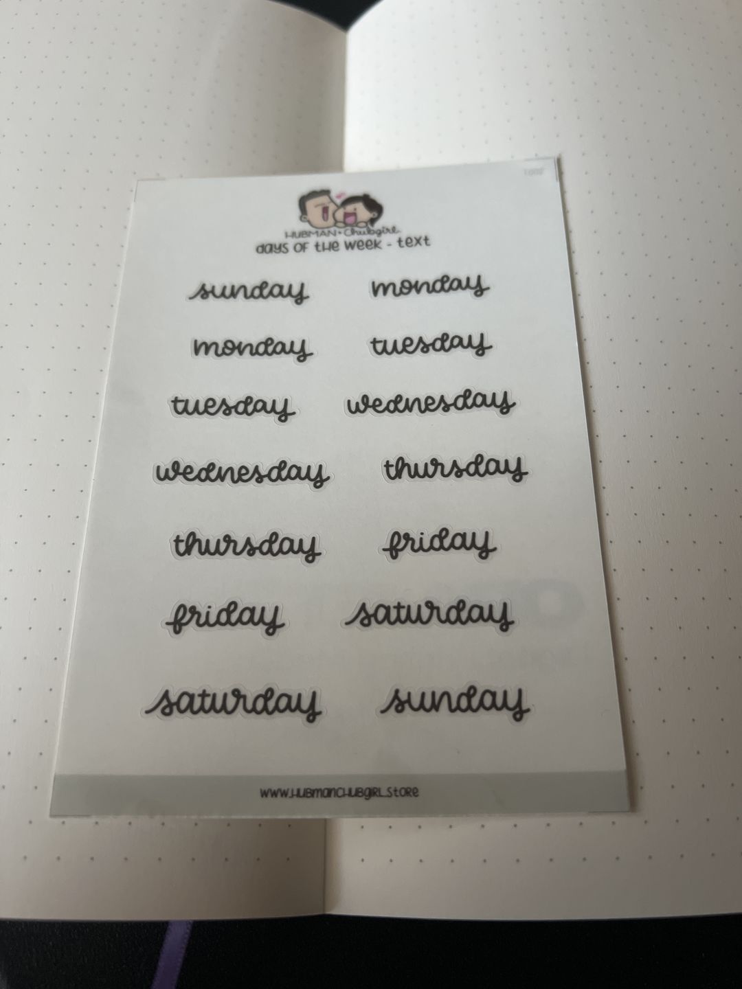 Customer photo review of Days of the Week Text Planner Stickers
