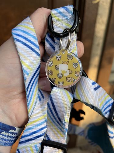 Customer photo review of Digital Dogs