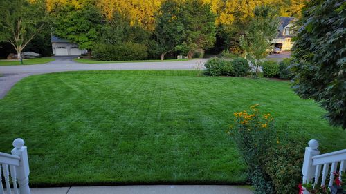 Customer photo review of MySoil Test Kit