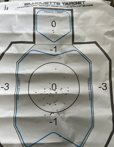 Customer photo review of Silhouette Target Pack
