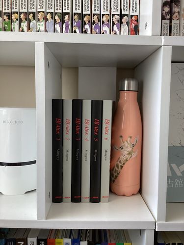 Customer photo review of BJ Alex Manhwa Books - English Version