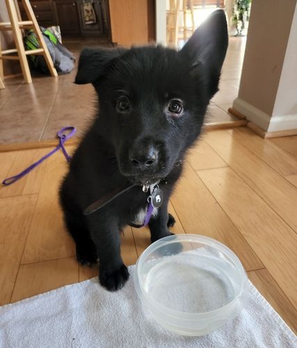 Customer photo review of Black