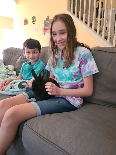 Customer photo review of Simple Spectrum Nutritional Support Supplement