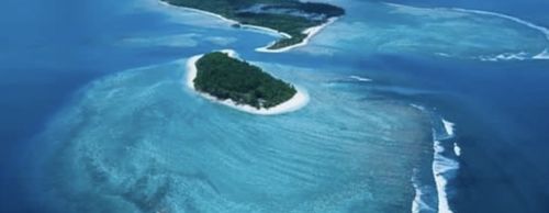 Customer photo review of PEANUT BUTTER - Box of 12