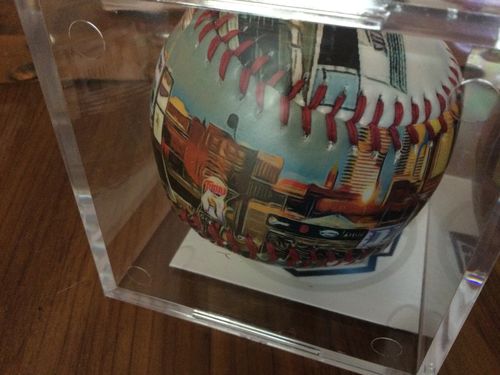 Customer photo review of Target Field Baseball