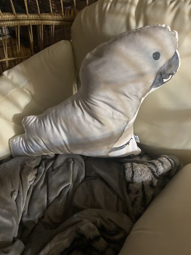 Customer photo review of Create A Custom Animal Pillow