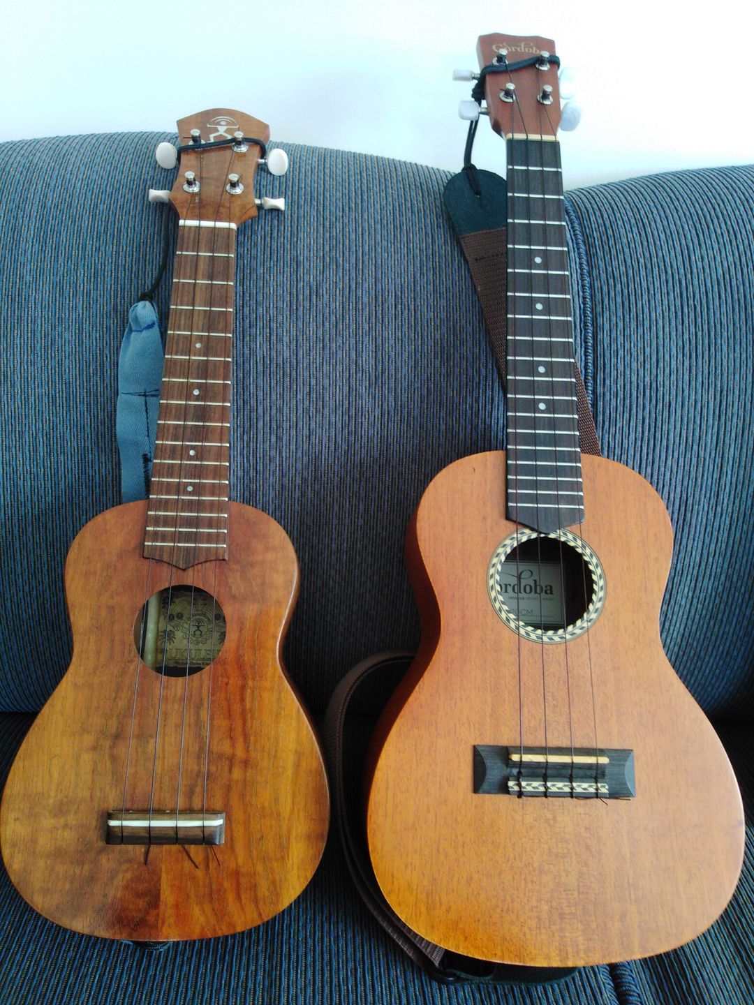 Customer photo review of BM-LG Worth Ukulele Strings Brown Medium Low G Soprano/Concert Fluorocarbon 2 restrings Per Pack