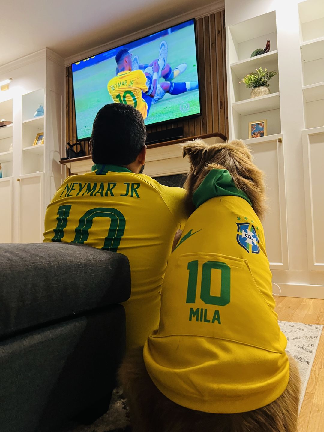 Customer photo review of Brazil Dog Hoodie