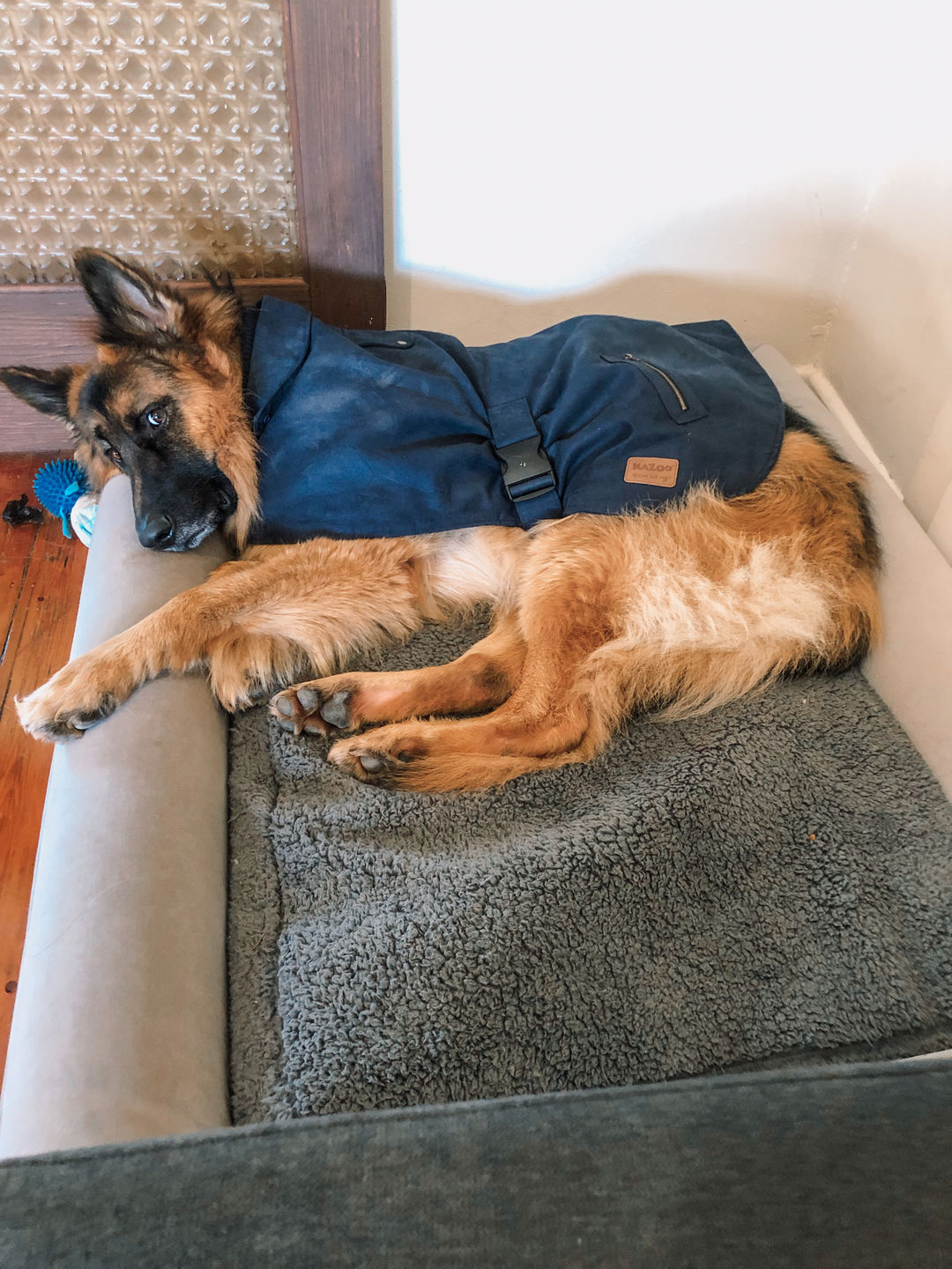 Customer photo review of Winter Cover With Self Heating Mat