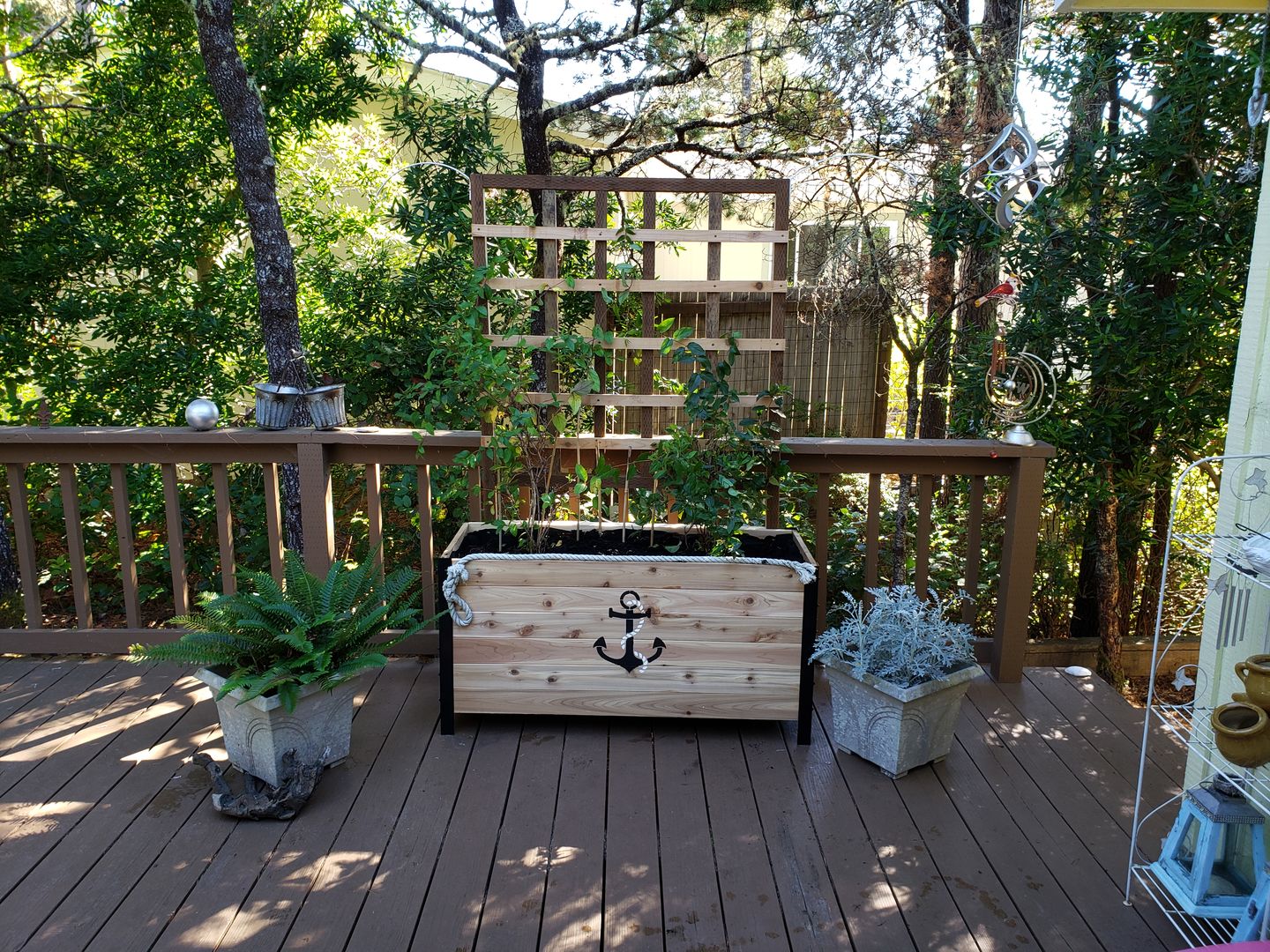 Customer photo review of Planter Box - 46cm x 122cm x 61cm