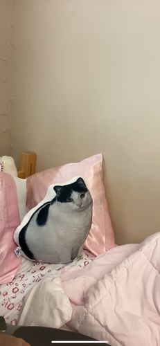 Customer photo review of Create A Custom Car Pillow
