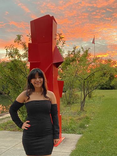 V. H. review of Laura Dress image 1 out of 1