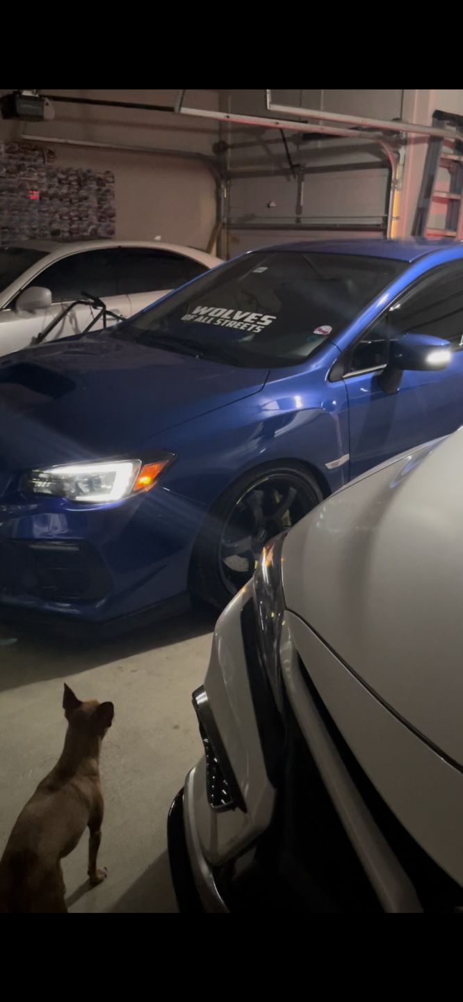 Customer photo review of 2015-21 WRX/STI Sequential LED Mirror Corner Lights