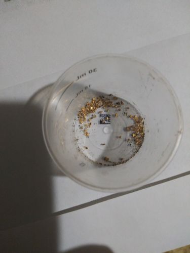 Customer photo review of Nugget Reserve 'MUSEUM SPECIMEN CHASE' - Gold Panning Paydirt Concentrate