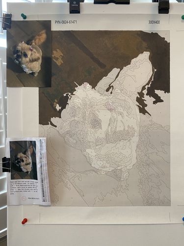 Customer photo review of Custom Paint By Numbers Kit - Upload Your Photo - Brush Set Included