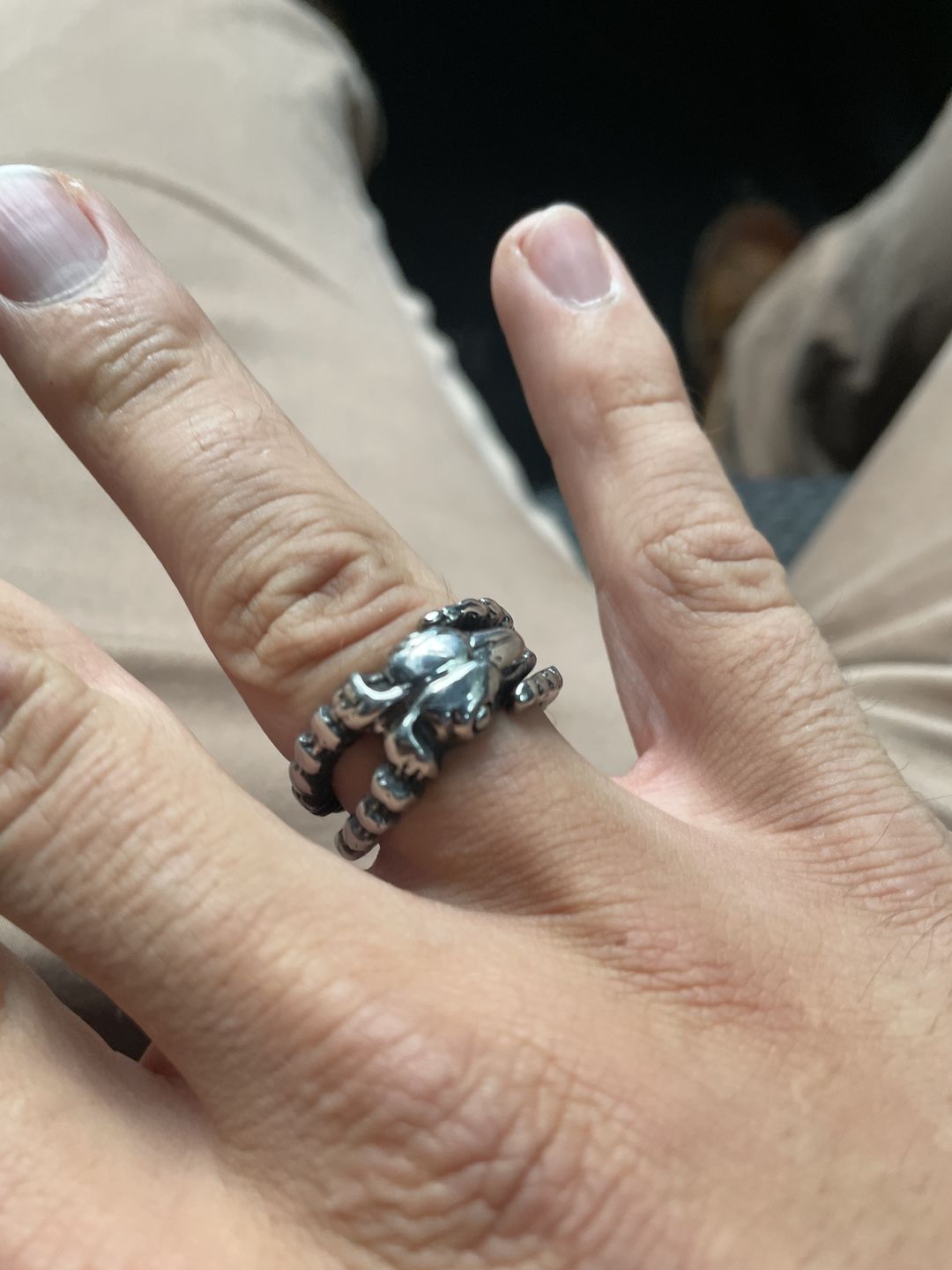 Customer photo review of HORNED.
