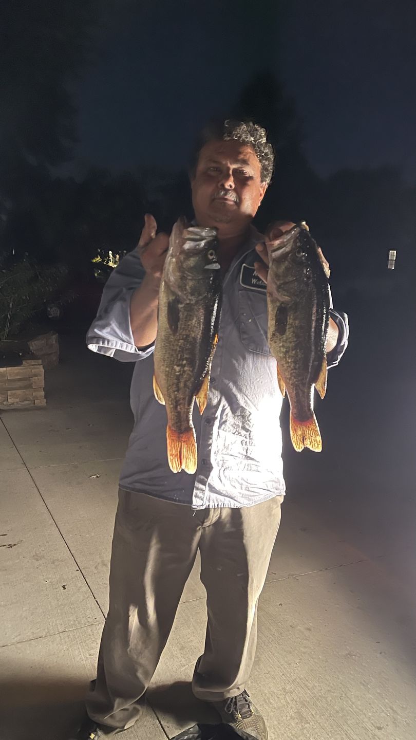 Customer photo review of TRUSCEND PoPobait with BKK Hooks, Top Water Whopper Plopper Fishing Lures for Bass Walleye Pike Catfish, Floating Lure for Freshwater or Saltwater Amazing Lures Fishing Gifts for Family Fishing [WM]
