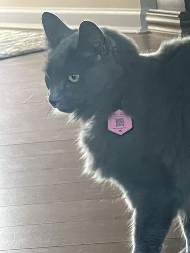 Customer photo review of Pink Silicone