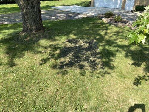 Customer photo review of Predator Ghillie™ SPECTRALFLAGE BLANKET