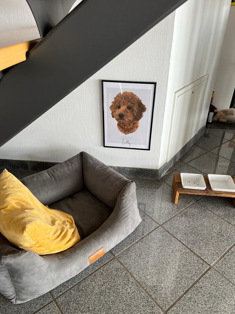 Customer photo review of Portrait deines Tieres