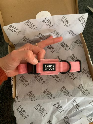 Customer photo review of LITE-25 Collar - Pink (AirTag Collar)