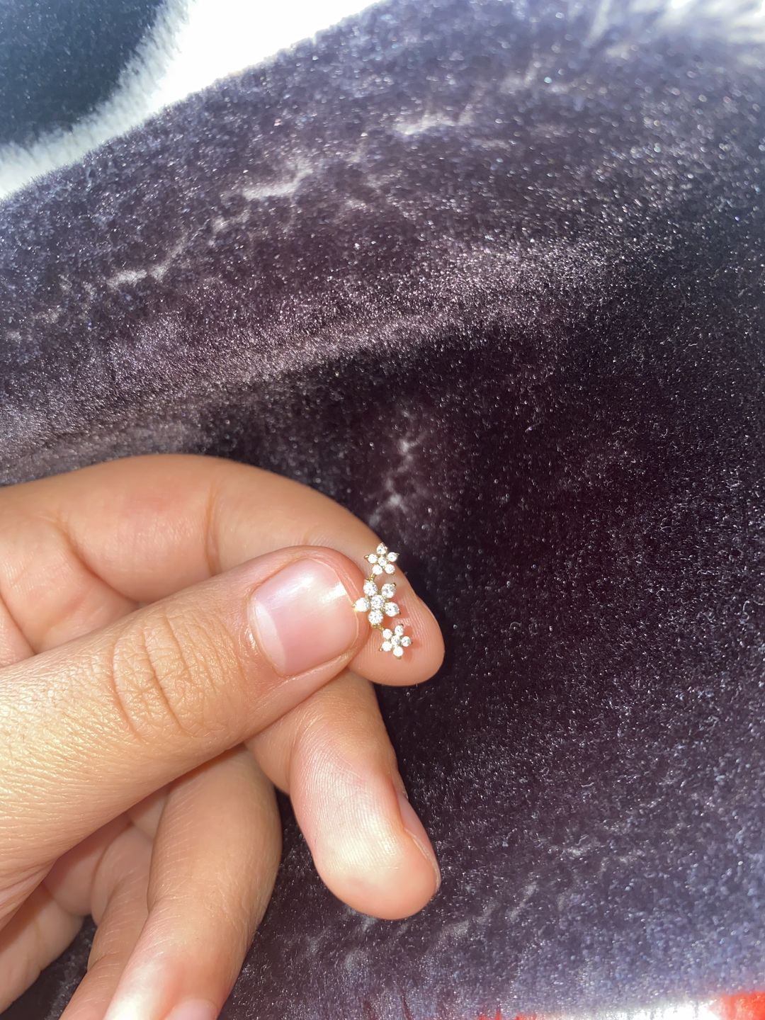 Customer photo review of Bloomy Piercing | Titan