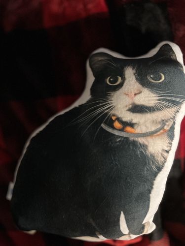 Customer photo review of Create A Custom Cat Pillow