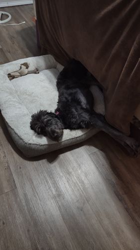 Customer photo review of Pink Silicone