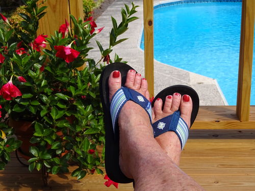 Customer photo review of Compass Stripes