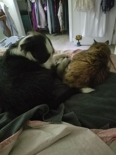 Customer photo review of FGI Flexiclone LED Power Cord