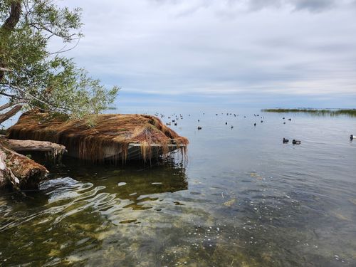 Customer photo review of Hunting Blind Raffia Grass (Pack)