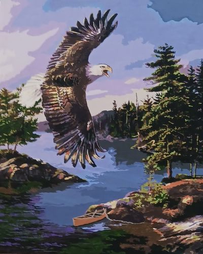 Customer photo review of Heritage Eagle - Paint by Numbers Kit