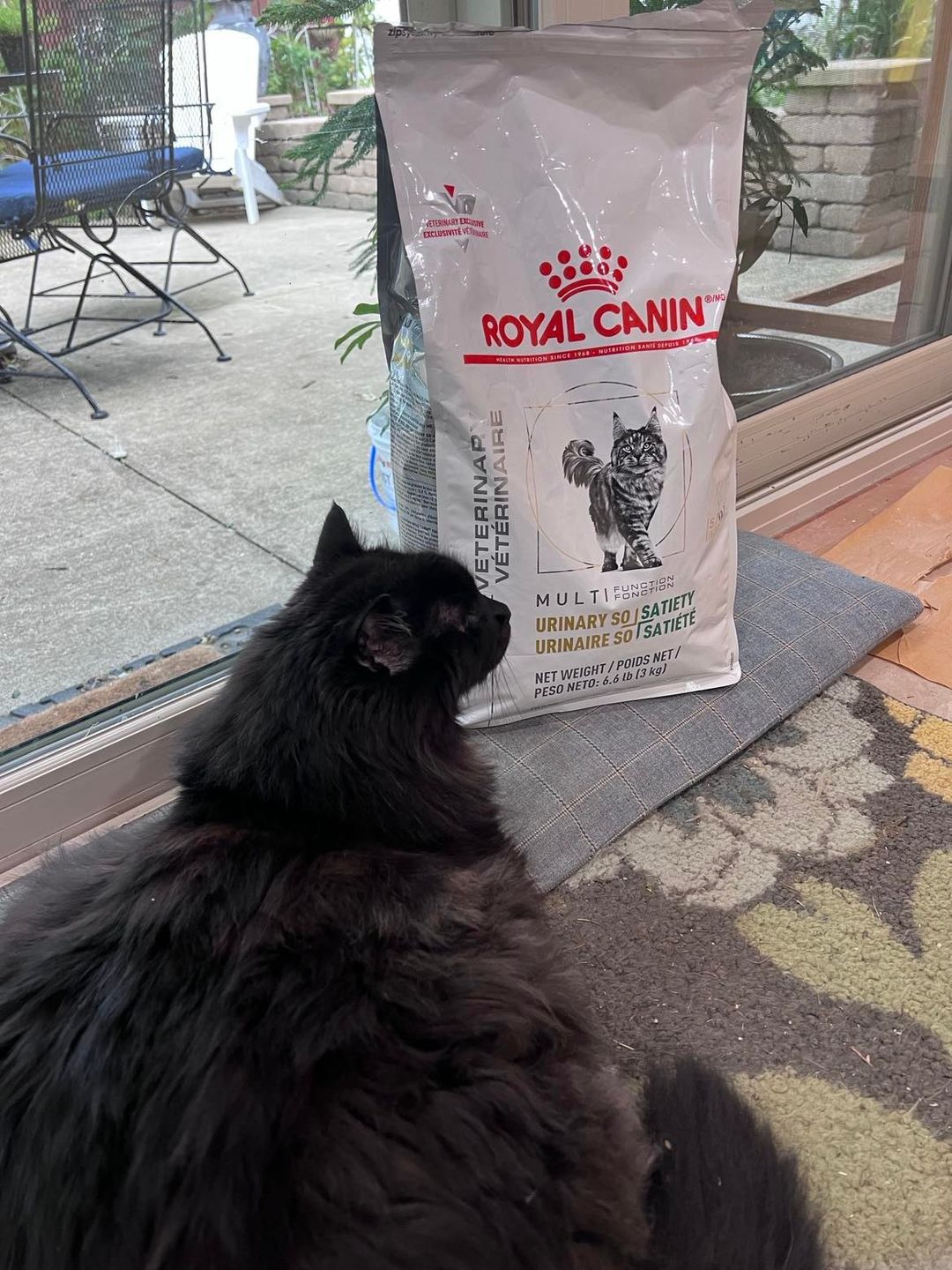 Customer photo review of Royal Canin Veterinary Diet - Urinary + Satiety Dry Cat Food