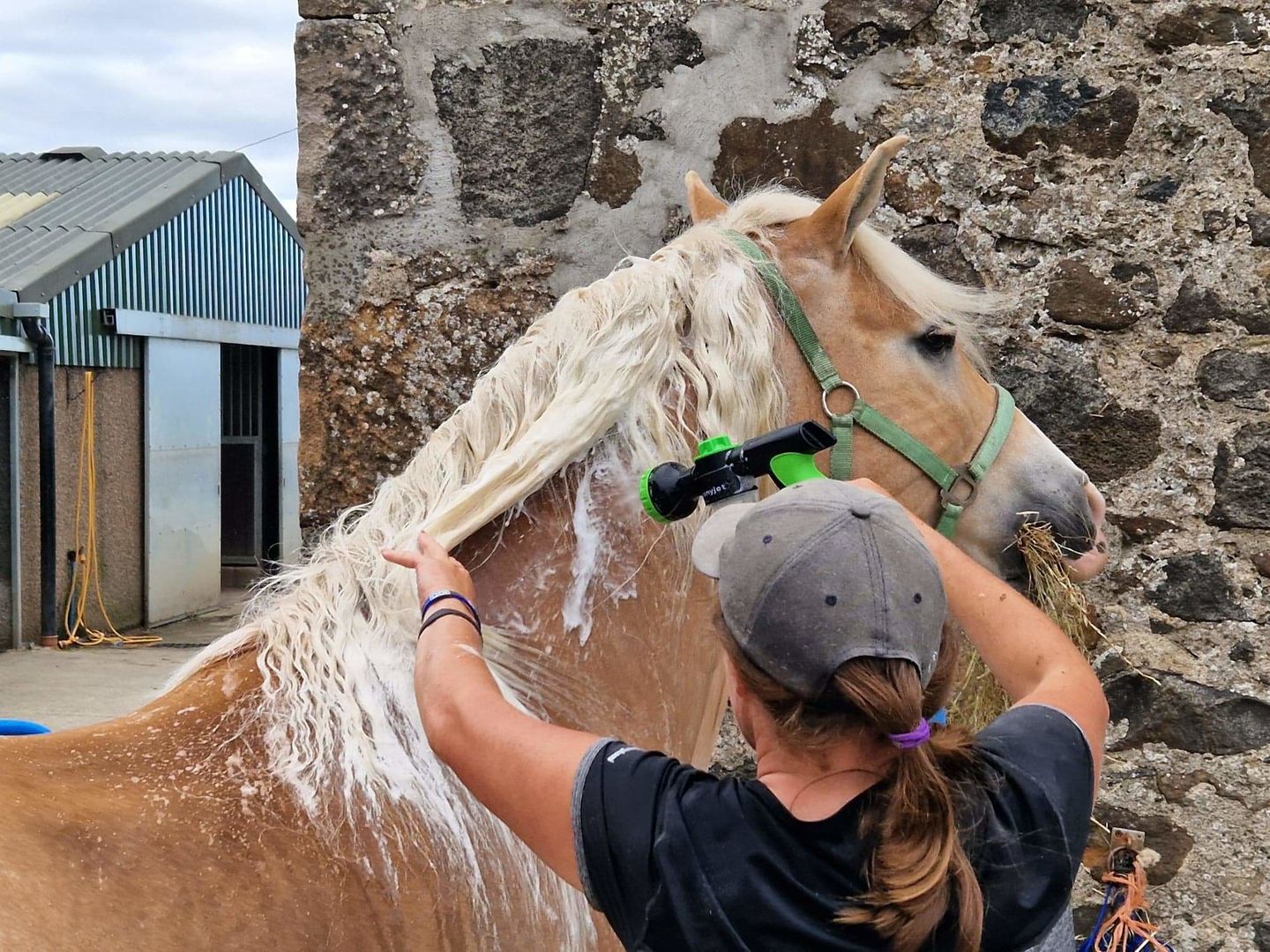 Customer photo review of The Pony Jet 2.0 ™