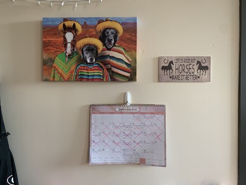 Customer photo review of 'Amigos' Personalized Pet Portraits - Custom Multi-Pet Canvas & Poster Artwork