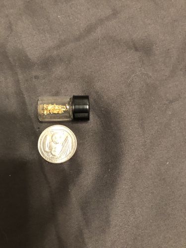 Customer photo review of Nugget Reserve 'MUSEUM SPECIMEN CHASE' - Gold Panning Paydirt Concentrate